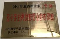 2016年3月信阳南湖壹号成功取得了“信阳市物业管理优秀住宅小区”的荣誉称号。