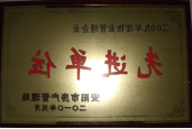 2010年1月27日，在安阳市住房保障总结会上荣获“2009年度物业管理企业先进单位”光荣称号。